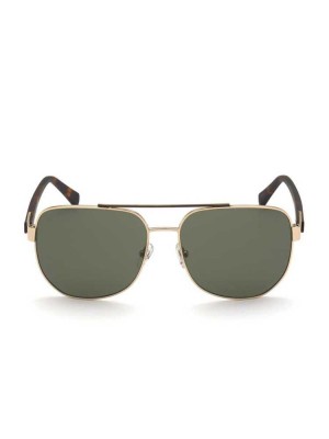 Lunette de Soleil Guess Marlon Navigator Homme Vert Doré | 52031-SFCU