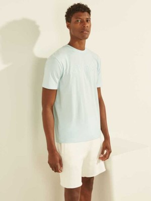 T Shirts Guess Eco Alphy Homme Bleu | 12493-LIFW