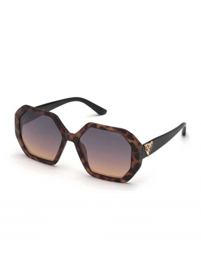 Lunette de Soleil Guess Larissa Geometric Femme Marron | 34609-PJMQ