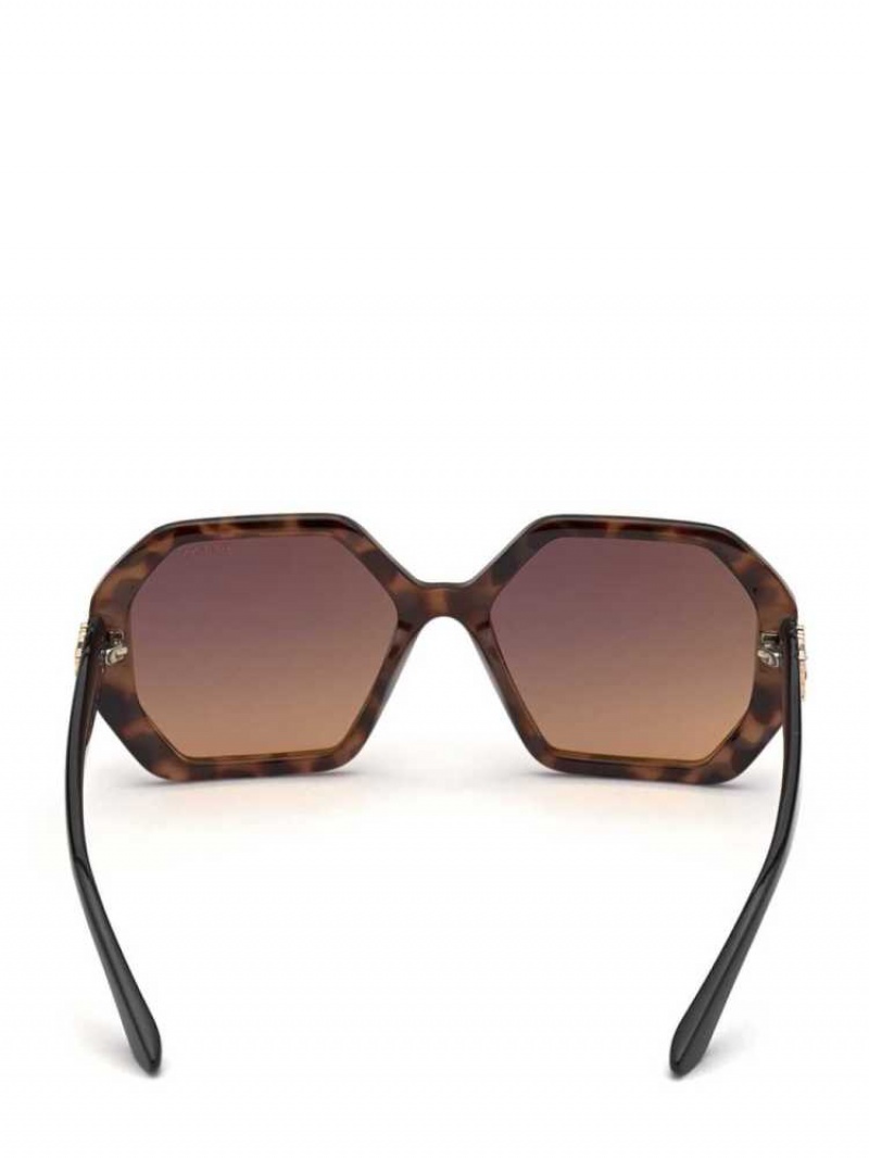 Lunette de Soleil Guess Larissa Geometric Femme Marron | 34609-PJMQ