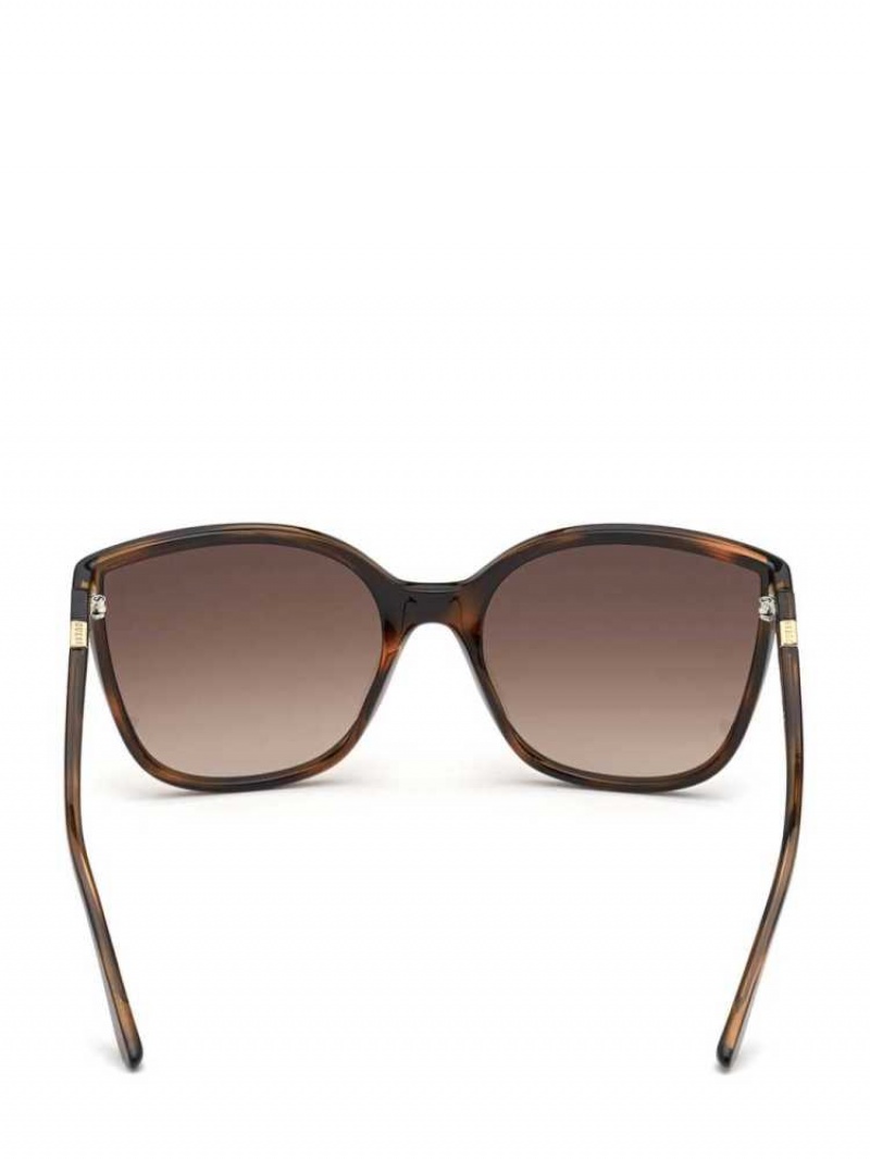 Lunette de Soleil Guess Oversized Cat-Eye Femme Marron | 16875-VGMD