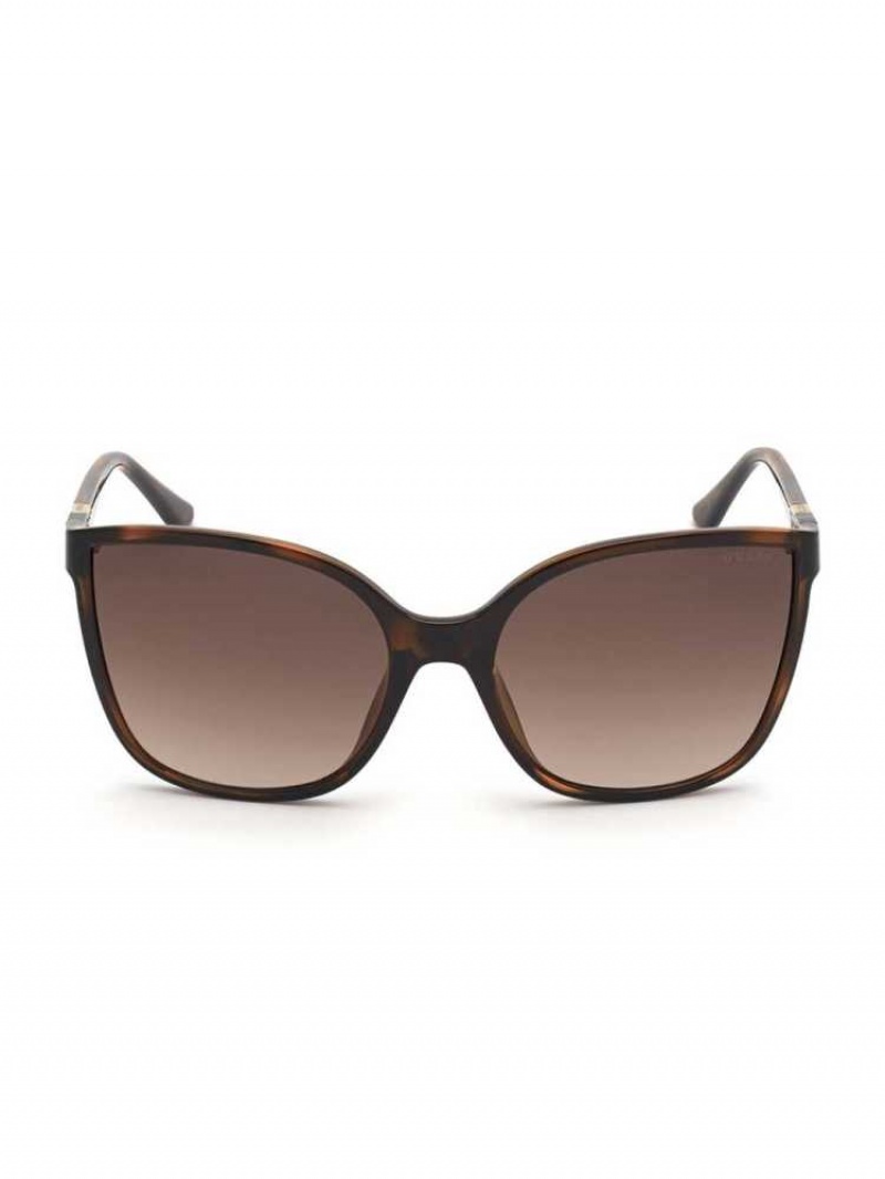 Lunette de Soleil Guess Oversized Cat-Eye Femme Marron | 16875-VGMD